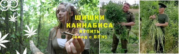 mix Дмитров