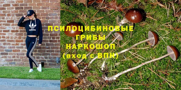 MDMA Premium VHQ Дмитровск