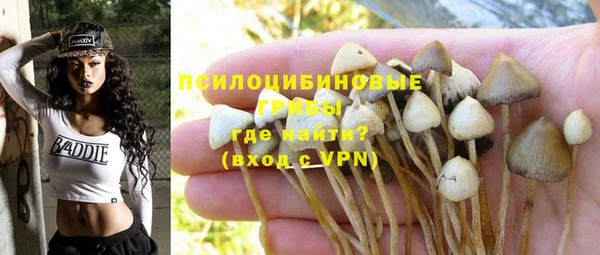 mix Дмитров
